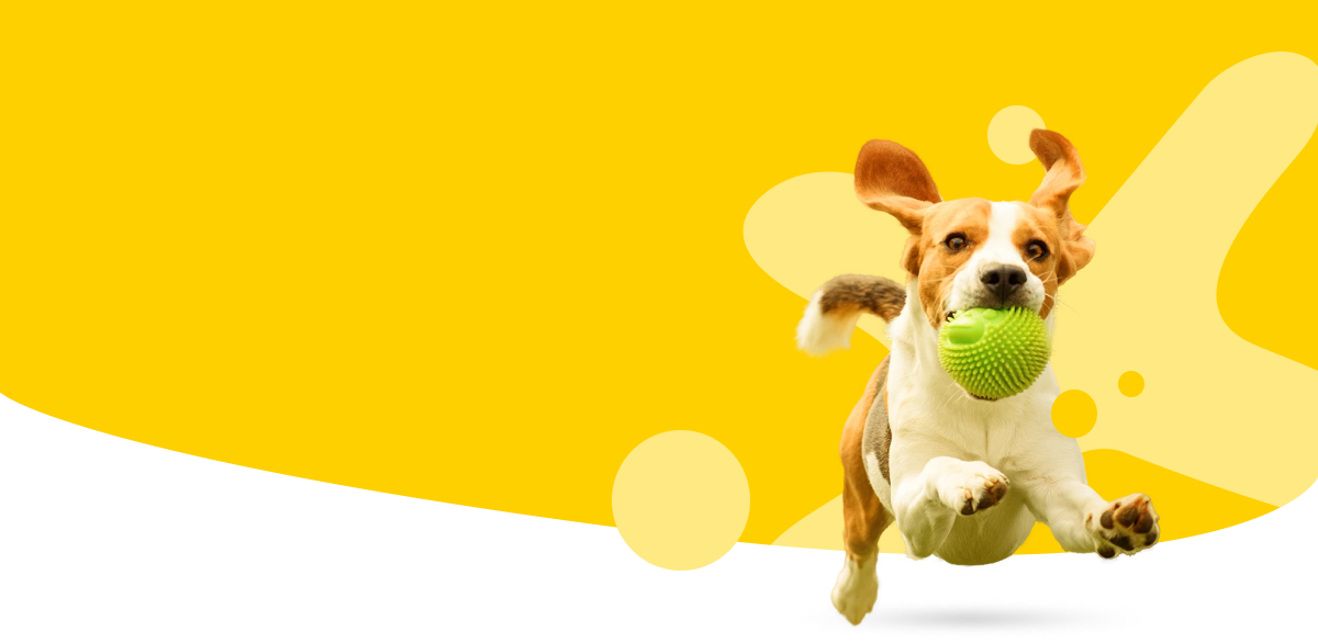 Escuela de Adiestramiento Canino Colsubsidio