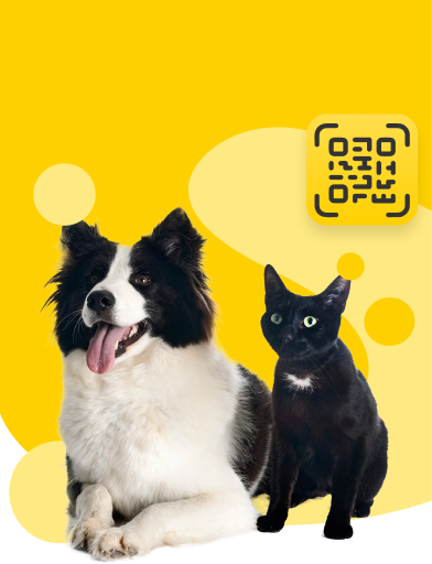 ¡Protege a tu mascota!