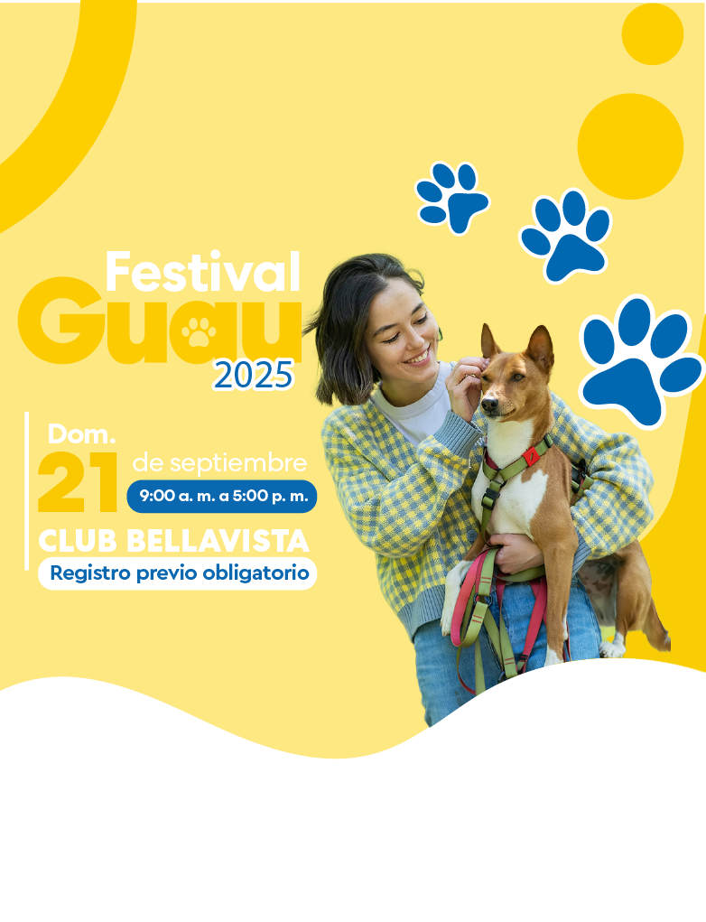 como cuidar mi perro 
