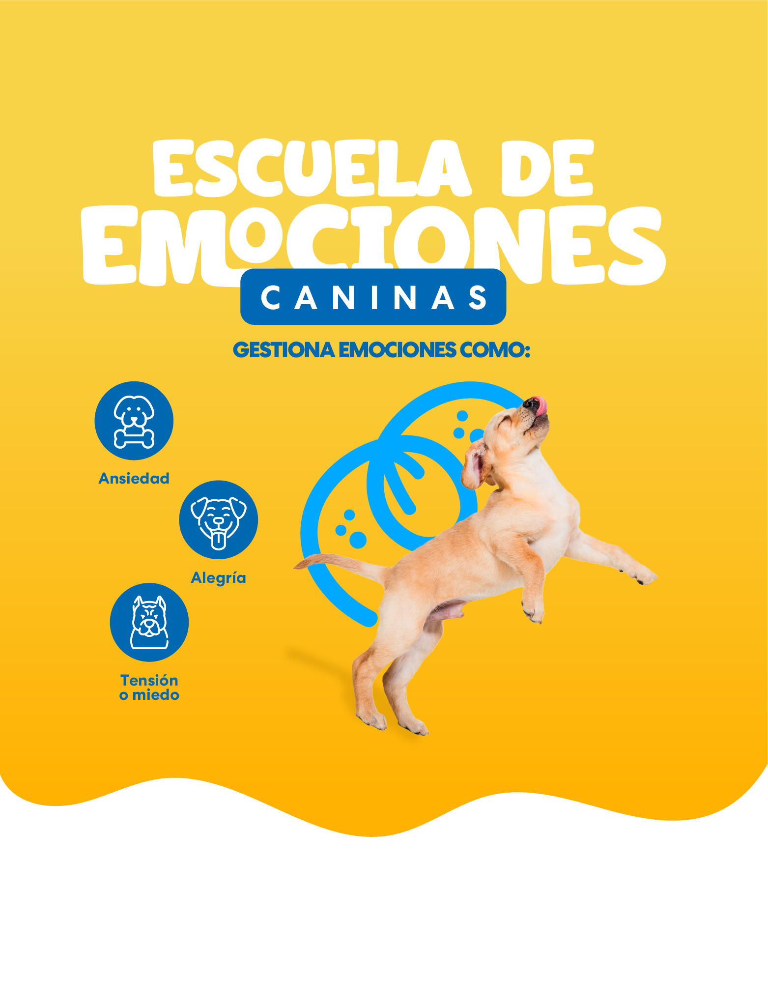 Escuela de Emociones Caninas