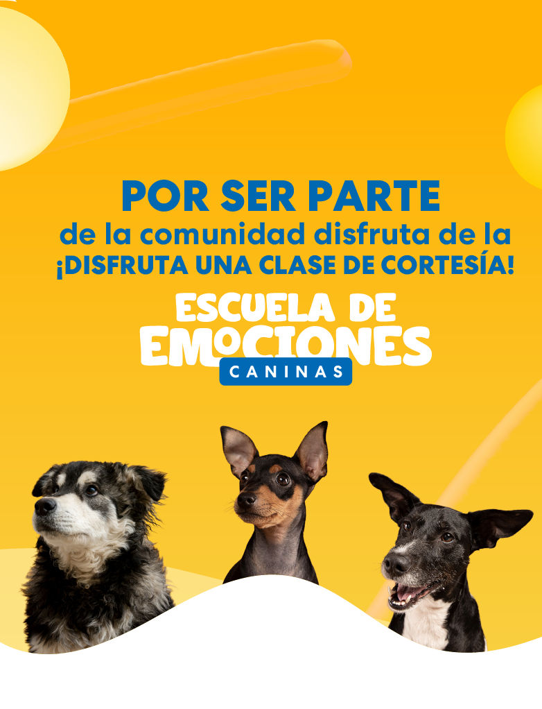 Clase