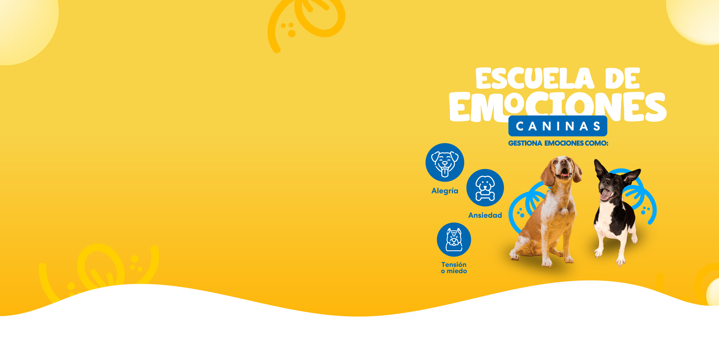 escuela banner