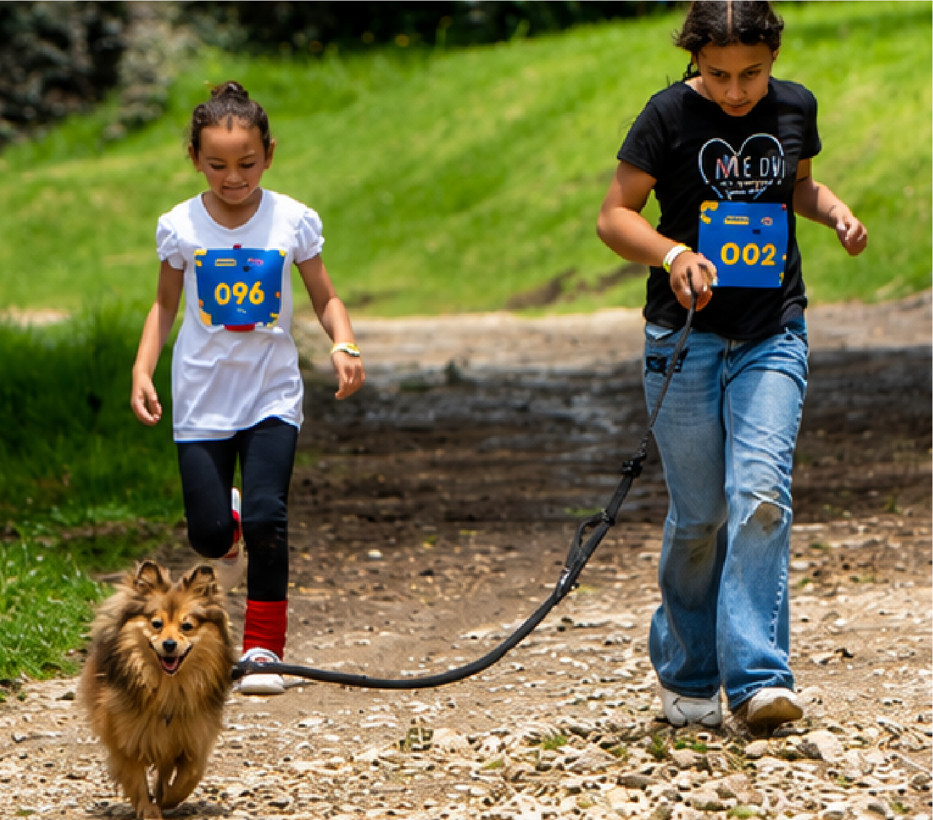 perro con niños