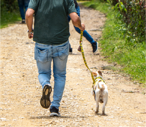 perro corriendo